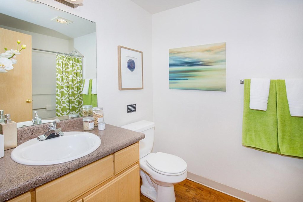 a bathroom with a sink toilet and a mirror